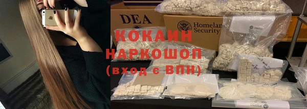 стафф Медногорск
