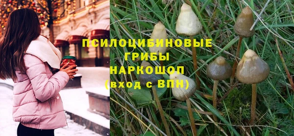 MDMA Медвежьегорск