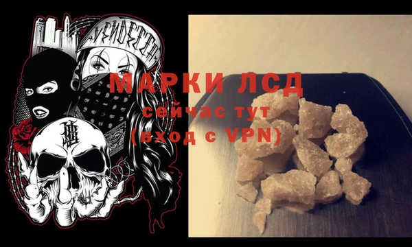 стафф Медногорск