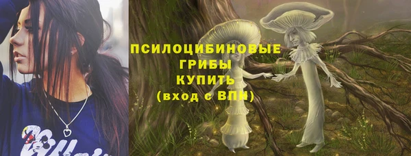 стафф Медногорск